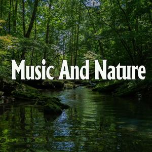 国产精品视频第三区
